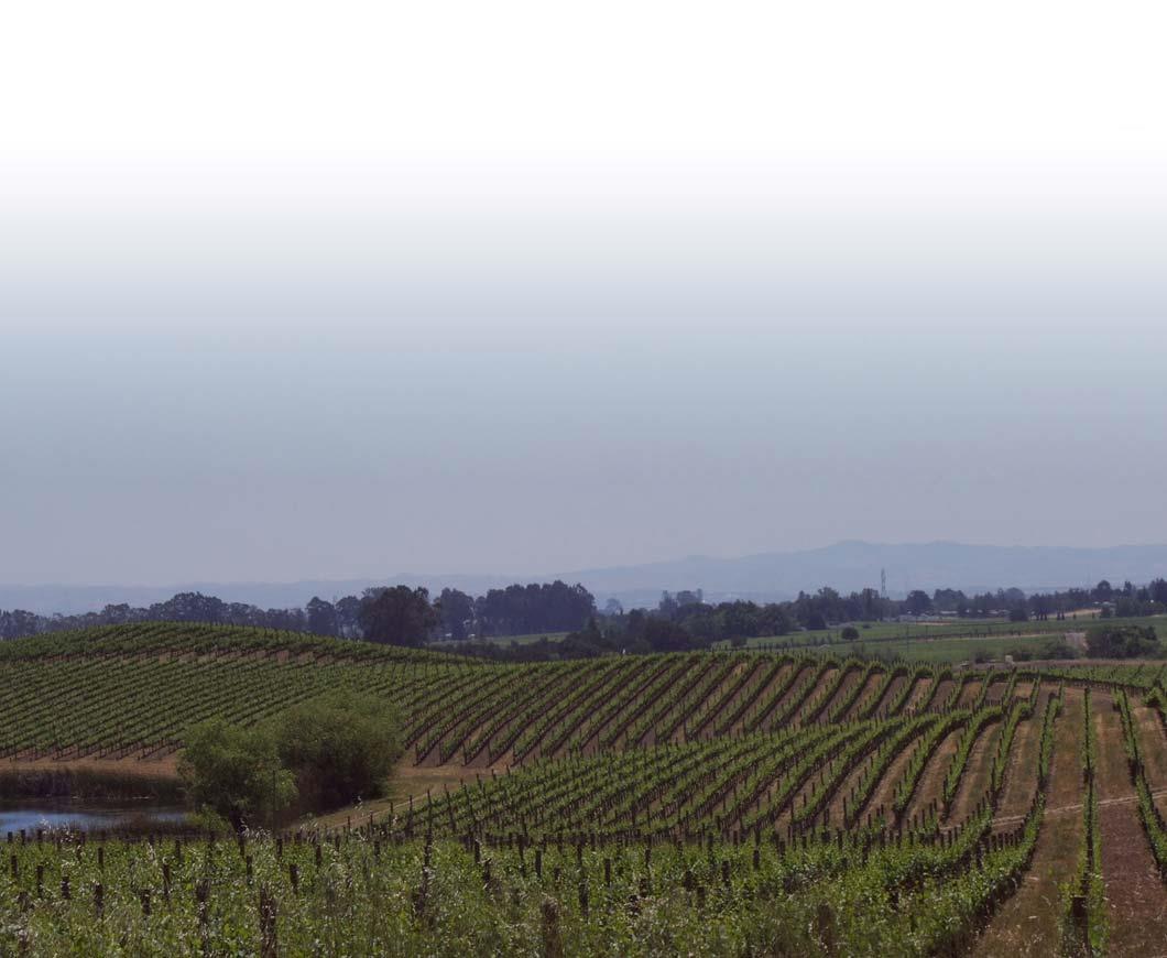 Kahn S Fine Wine Promo Code at Florencio Everman blog